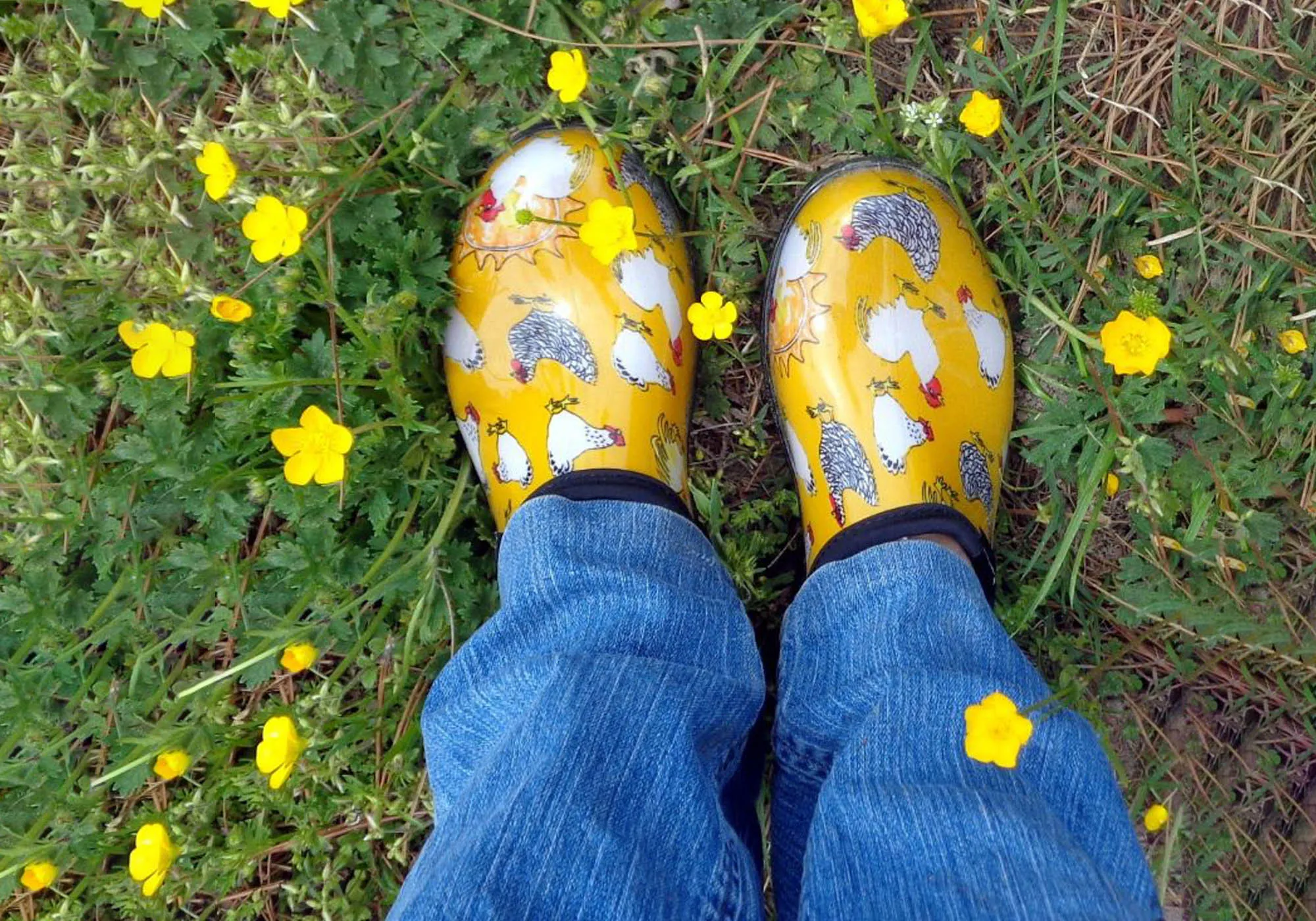 Sloggers Comfortable Womens Splash Shoes Yellow Chicken