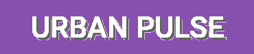 Urban Pulse – Sleek Running Sneakers, Cushioned Trainers, Reflective Joggers & City-Ready Kicks